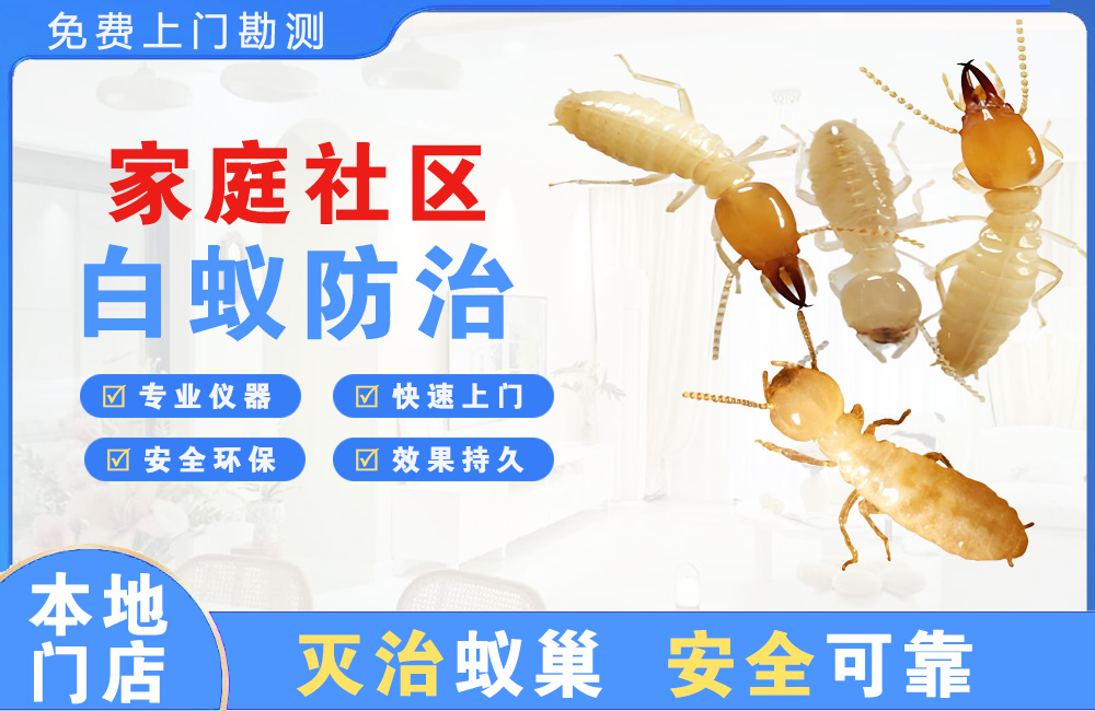 井冈山家庭社区白蚁防治