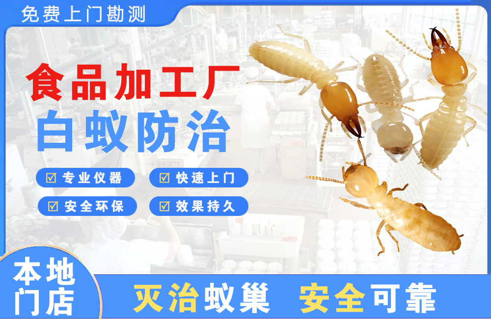 井冈山食品加工厂白蚁防治