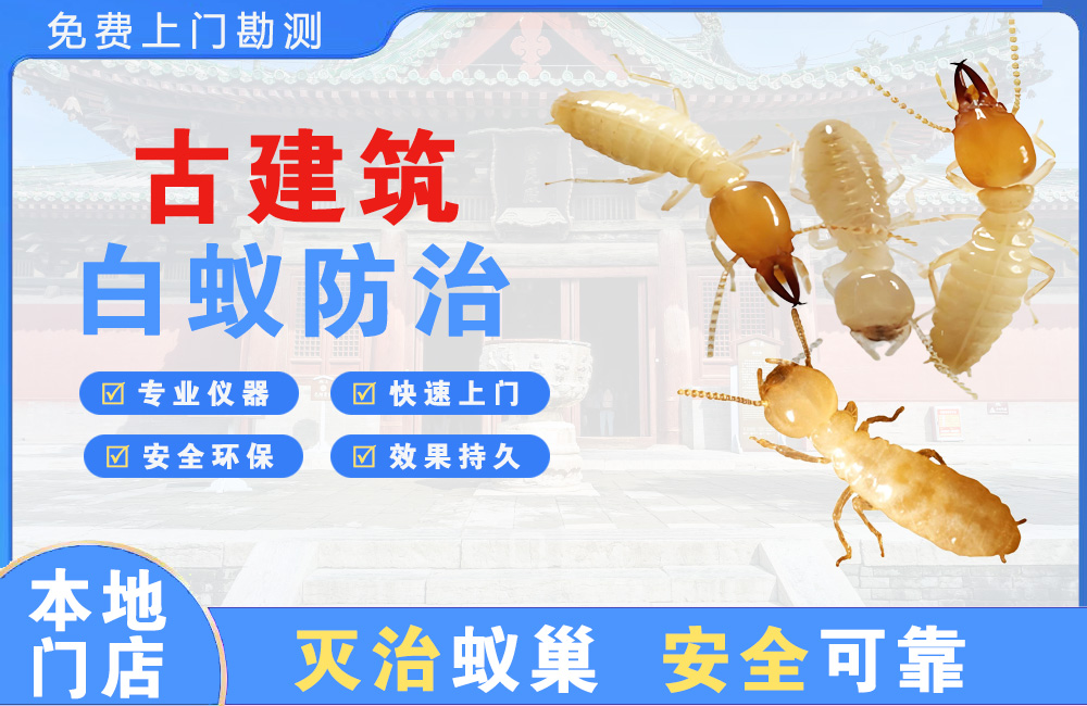 井冈山古建筑白蚁防治